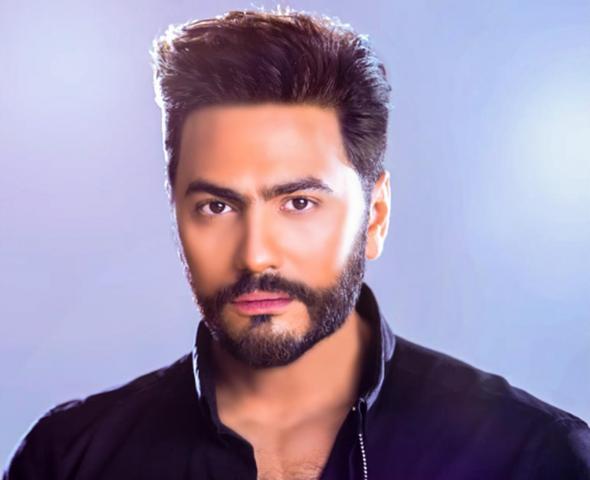 تامر حسنى 