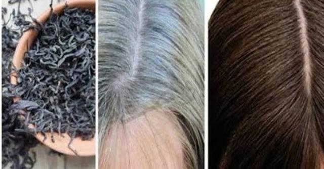 صبغة طبيعية لجعل الشعر الأبيض اسود