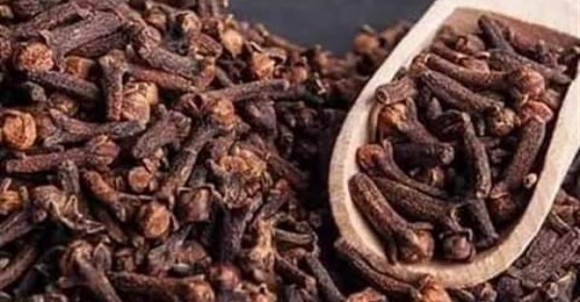أخبار الفن والمجتمع