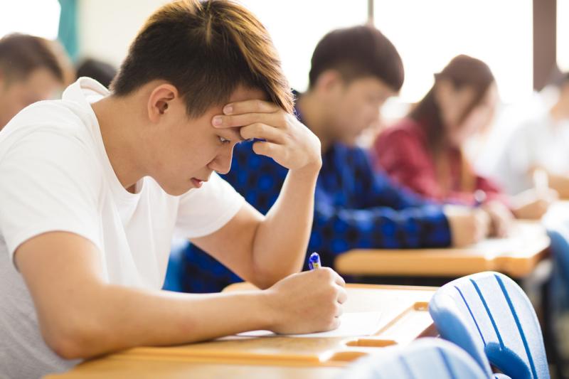 أخبار الفن والمجتمع