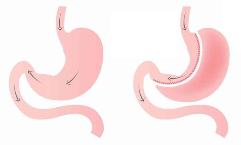 أخبار الفن والمجتمع